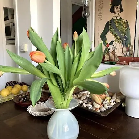 Maison Avec Jardin Appartement