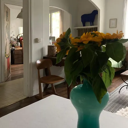 Appartement Maison Avec Jardin *