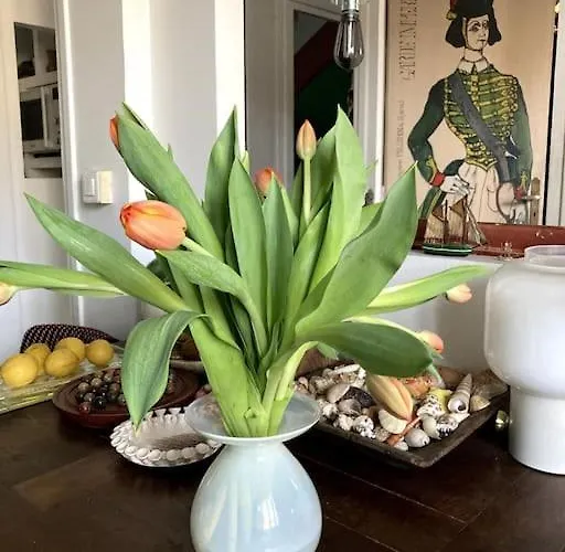 Maison Avec Jardin Διαμέρισμα
